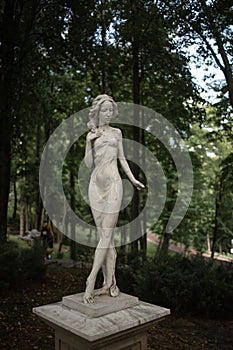 An antique statue by tree lined alley in gardens