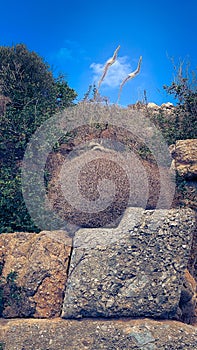 Antique stones with bushes of dry grass on Carian trail in Turkey, Knidos, Karia Yolu