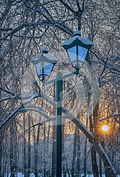 Antique street lamp against the background of snow-covered trees. On the Sunset