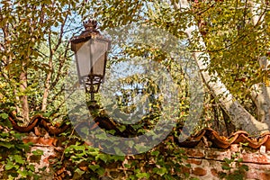 An antique  street lamp appears in the vegetation