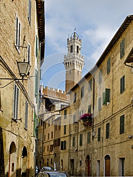 Antique street of Sinea with Mangia tower in background. Siena, Italy