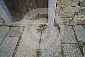 Antique things in an old house