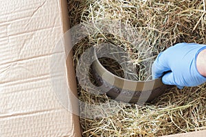 Antique Tibetan singing bowl in a cardboard box with hay packaging.