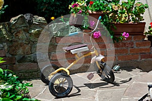 Antique tricycle in garden