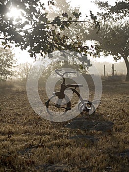 Antique tricycle in sunrise