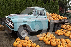 Antique truck filled with orange pumpkins