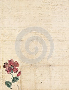 Antique vintage folded textured paper with flower