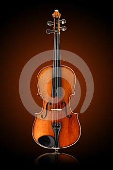 Antique violin