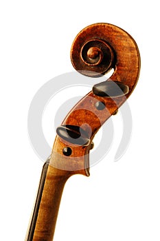 Antique Violin Scroll on White