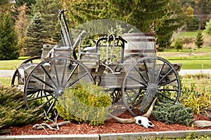 Antique Wagon