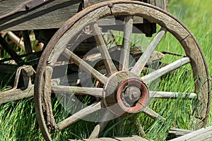 Antique wagon wheel in tall grass