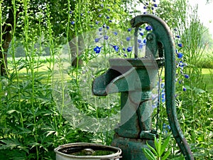 Antique Water Pump in Garden