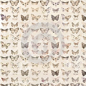 Antique watercolor butterflies illustrated patterned background