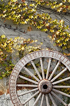 Antique and weathered wood cart wheel