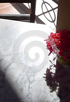 Antique white marble table top, vase of flowers