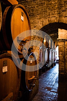 Antique wine cellar with row of big barrels