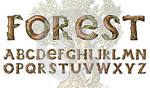 Antique wood Font for forest posters. Decorative ancient alphabet. Vintage typeface. Double exposure Trees and branches