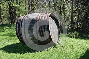 Antique wooden barrels