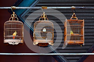 Antique wooden bird cages