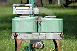 Antique wringer washer