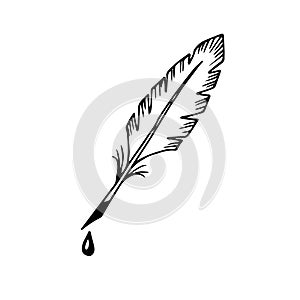 Antique writing pen with a drop of ink on the tip. Bird feather. Hand drawn doodle sketch black outline. Stock vector
