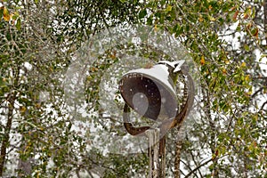 An antique yard iron dinner bell with snow and icicles