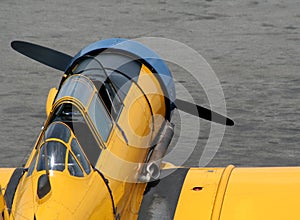 Antique Yellow Fighter