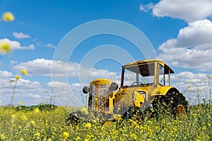 Antique yellow vintage old abandoned tractor in the field, yellow flowers and blue cloudy sky on background