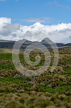 Antisana Ecological Reserve, Ecuador