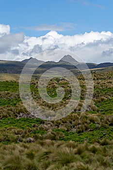 Antisana Ecological Reserve, Ecuador