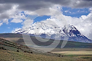 Antisana Volcano above the paramo