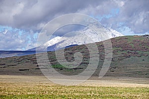 Antisana Volcano above the paramo grassland