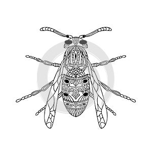 Antistress coloring page. Insect wasp. Isolated on white background. Doodle vector illustration