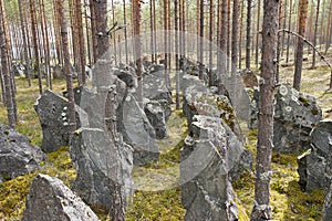 Antitank barrier World War II