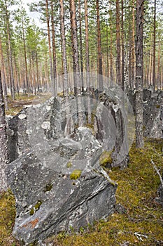 Antitank barrier World War II