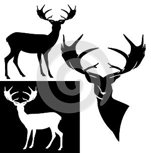 Antler deer black and white silhouette design