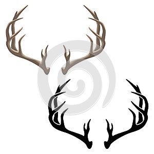 Antler Vector Illustration in both Color and Black Line Art photo