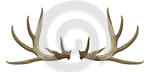 Antlers