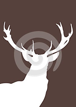 The antlers from the deer