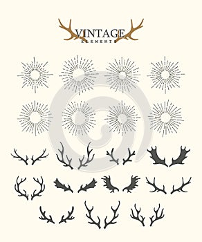 Antlers. Design elements of deer and collection of sunbeams. Set of hand drawn deer horns on the white background
