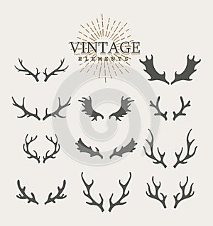 Antlers. Design elements of deer. Set of hand drawn deer horns on the white background. Vintage isolated icons