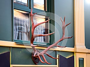 Antlers on the facade of the building.