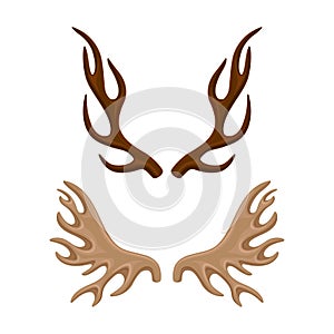 Antlers set. Horny hunting trophy of reindeer, deer, moose animals vector illustration