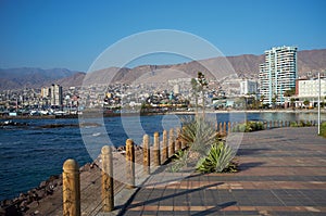 Antofagasta photo