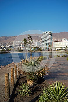 Antofagasta photo