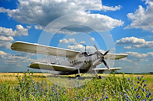Antonov AN-2 airplane on the field - aircraft landscape