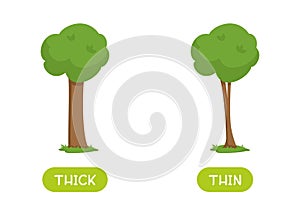 Antonyms concept, THICK and THIN.