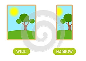 Antonyms concept, WIDE and NARROW photo