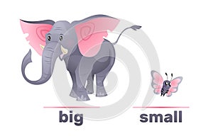 Antonyms and opposites, big and small. Elephant and butterfly. English language vocabulary, educational card for kids