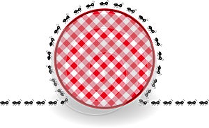 Ants around label picnic plaid